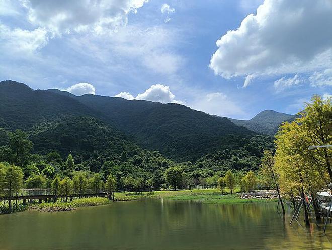 长白山珍稀古树群发现记